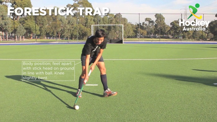 forestick-trap---hockey